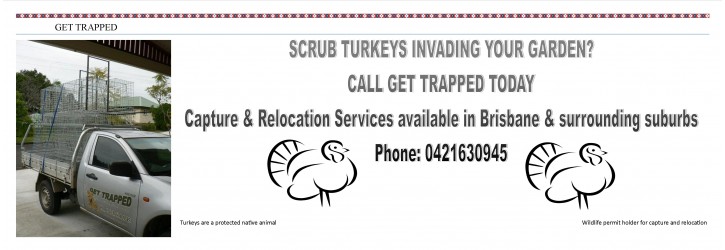 slide 10